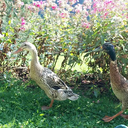 Séjour à la ferme Schoesserhof