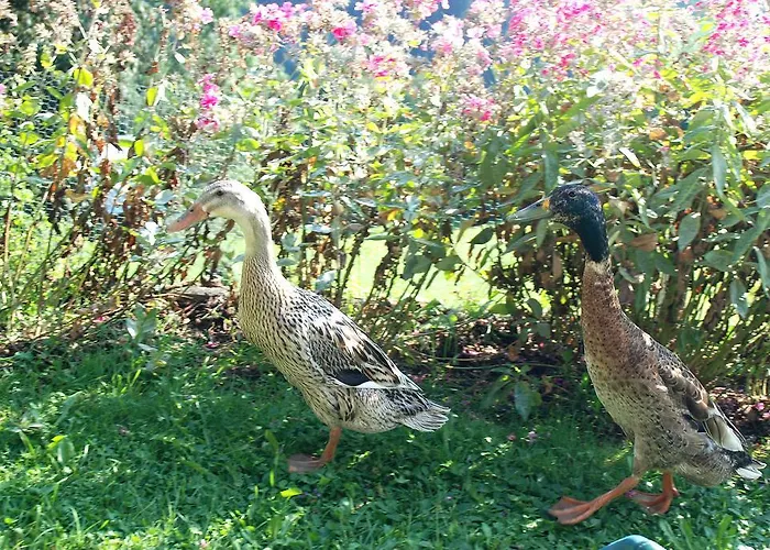 Alojamento de Turismo Rural Schoesserhof